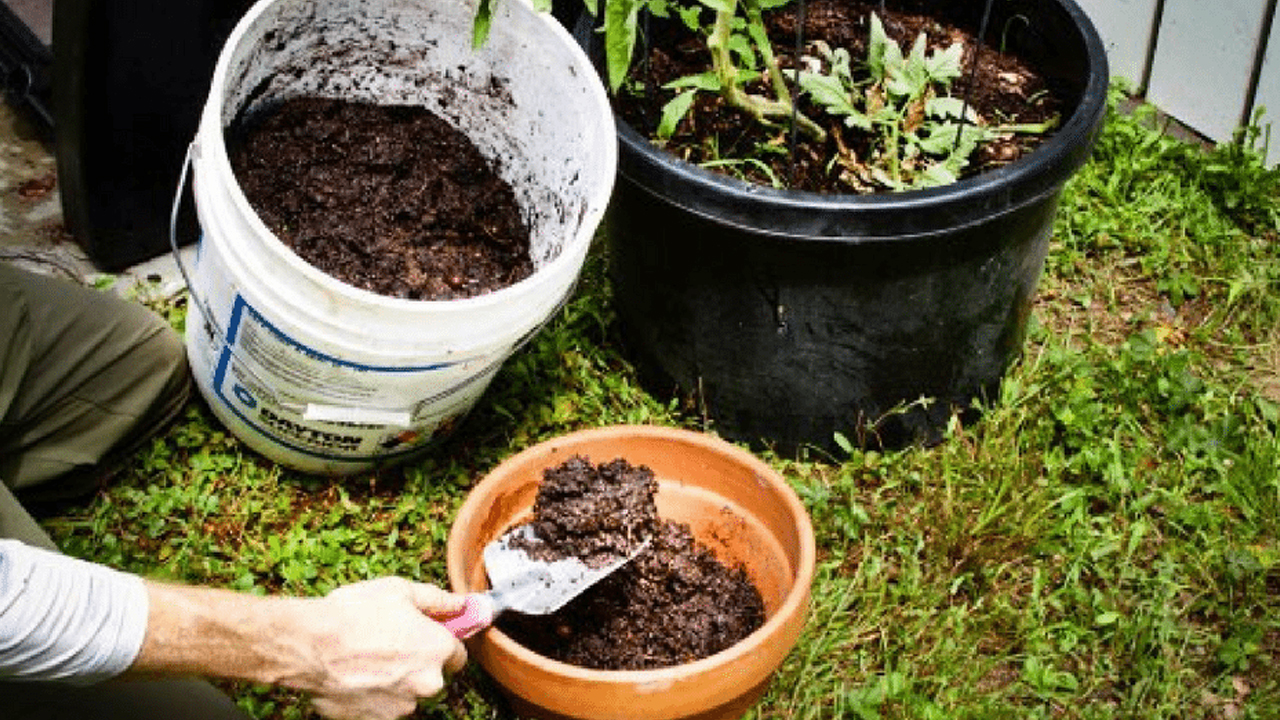 Compost and Hazardous in Pune